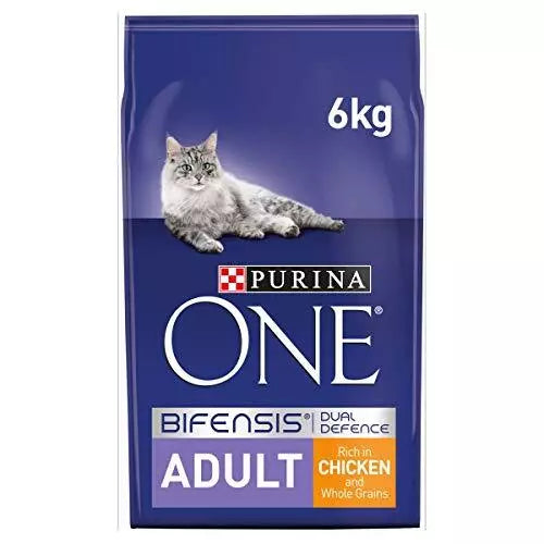 Purina ONE Adult Dry Cat Food – 6kg | Chicken & Nutritious