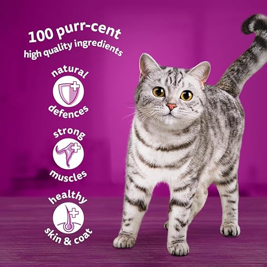 WHISKAS 1+ Poultry Cat Food – 40 Pouches | Tasty, Jelly & Mega Pack